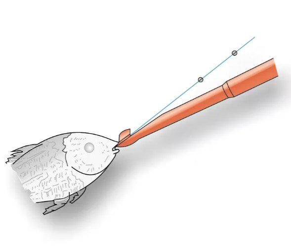 Slamatori Mare Piccolo