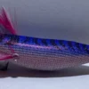 LION FISH - CRYSTAL ULTRA SQUID JIG SERIES - MS